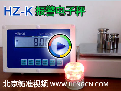 HZk Alarm Scales Video