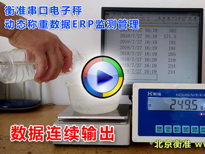 衡准电子秤动态称重串口ERP管理